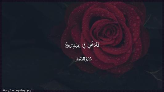 Al-Fajr Ayah 29 - Arabic (Wide) wallpaper