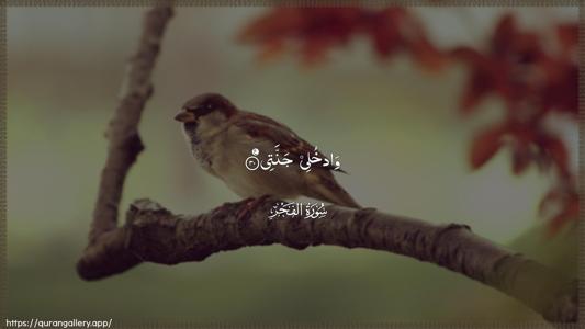 Al-Fajr Ayah 30 - Arabic (Wide) wallpaper