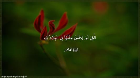 Al-Fajr Ayah 8 - Arabic (Wide) wallpaper