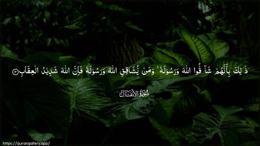 Al-Anfaal Ayah 13 - Arabic (Wide) wallpaper