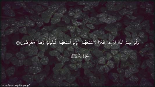 Al-Anfaal Ayah 23 - Arabic (Wide) wallpaper