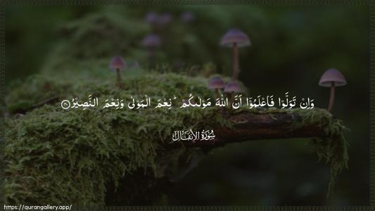 Al-Anfaal Ayah 40 - Arabic (Wide) wallpaper