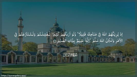 Al-Anfaal Ayah 43 - Arabic (Wide) wallpaper