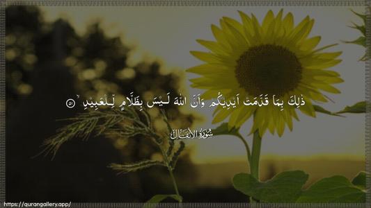 Al-Anfaal Ayah 51 - Arabic (Wide) wallpaper