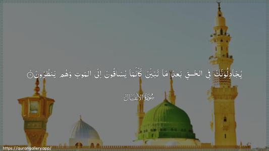 Al-Anfaal Ayah 6 - Arabic (Wide) wallpaper