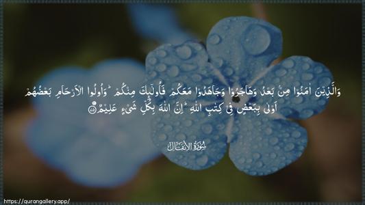Al-Anfaal Ayah 75 - Arabic (Wide) wallpaper