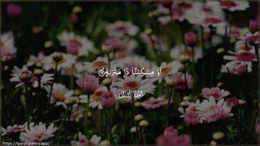Al-Balad Ayah 16 - Arabic (Wide) wallpaper