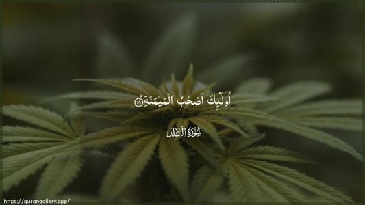 Al-Balad Ayah 18 - Arabic (Wide) wallpaper