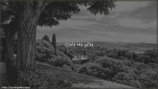 Al-Balad Ayah 3 - Arabic (Wide) wallpaper