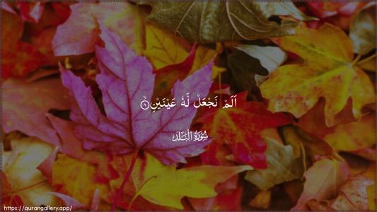 Al-Balad Ayah 8 - Arabic (Wide) wallpaper