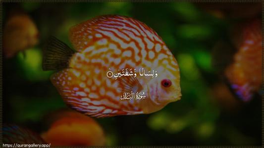 Al-Balad Ayah 9 - Arabic (Wide) wallpaper