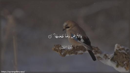 Ash-Shams Ayah 6 - Arabic (Wide) wallpaper