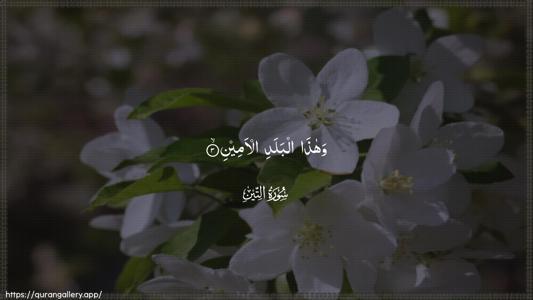 At-Tin Ayah 3 - Arabic (Wide) wallpaper