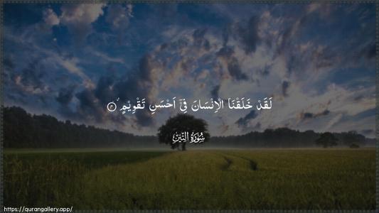 At-Tin Ayah 4 - Arabic (Wide) wallpaper