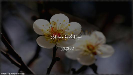 Al-Alaq Ayah 16 - Arabic (Wide) wallpaper