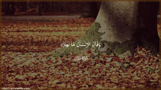 Az-Zalzala Ayah 3 - Arabic (Wide) wallpaper