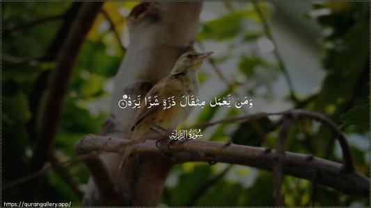 Az-Zalzala Ayah 8 - Arabic (Wide) wallpaper