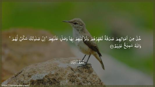 At-Tawba Ayah 103 - Arabic (Wide) wallpaper