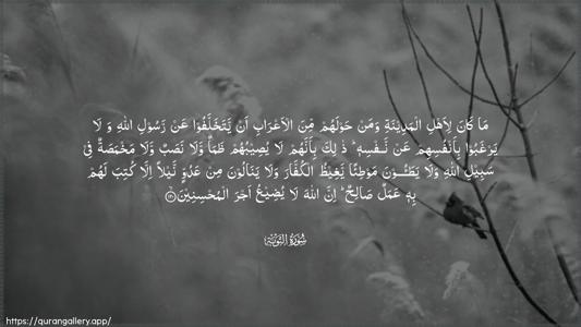 At-Tawba Ayah 120 - Arabic (Wide) wallpaper