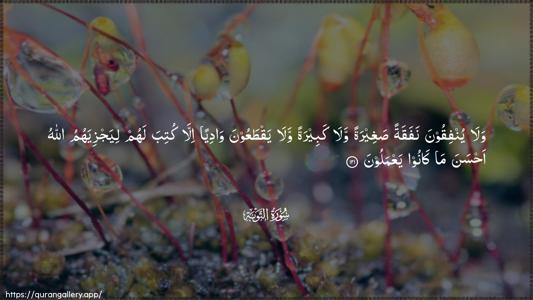 At-Tawba Ayah 121 - Arabic (Wide) wallpaper
