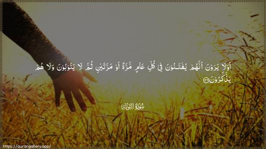 At-Tawba Ayah 126 - Arabic (Wide) wallpaper
