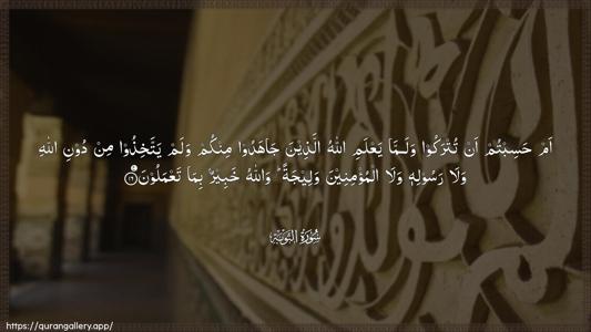 At-Tawba Ayah 16 - Arabic (Wide) wallpaper