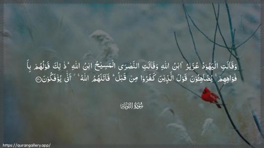 At-Tawba Ayah 30 - Arabic (Wide) wallpaper