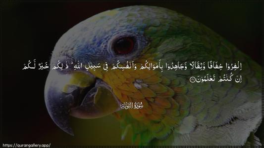 At-Tawba Ayah 41 - Arabic (Wide) wallpaper