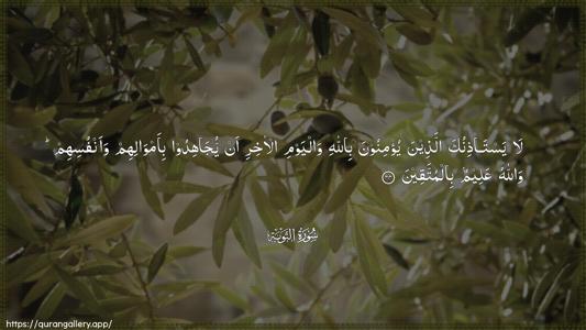 At-Tawba Ayah 44 - Arabic (Wide) wallpaper