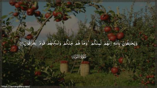 At-Tawba Ayah 56 - Arabic (Wide) wallpaper
