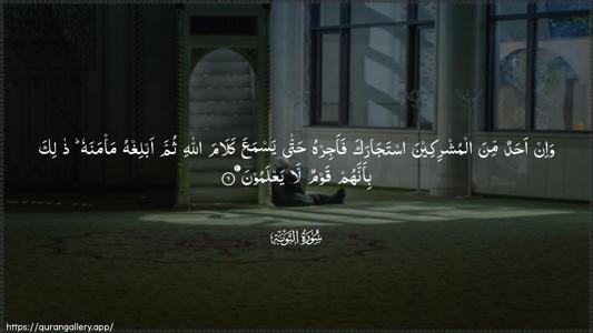 At-Tawba Ayah 6 - Arabic (Wide) wallpaper