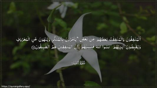 At-Tawba Ayah 67 - Arabic (Wide) wallpaper