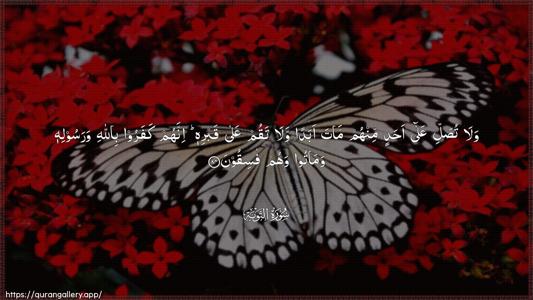 At-Tawba Ayah 84 - Arabic (Wide) wallpaper