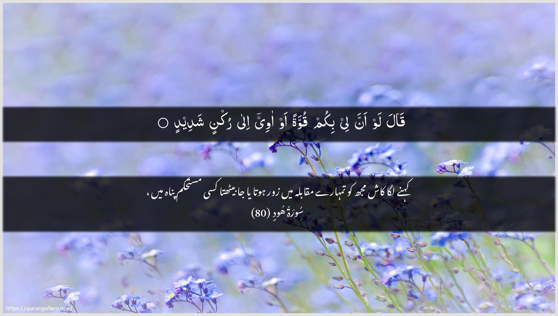 Surah Hud Ayah 80 of 11 HD Wallpaper: Download Beautiful horizontal Quran Verse Image | Qala law anna lee bikum quwwatan aw aweeila ruknin shadeed