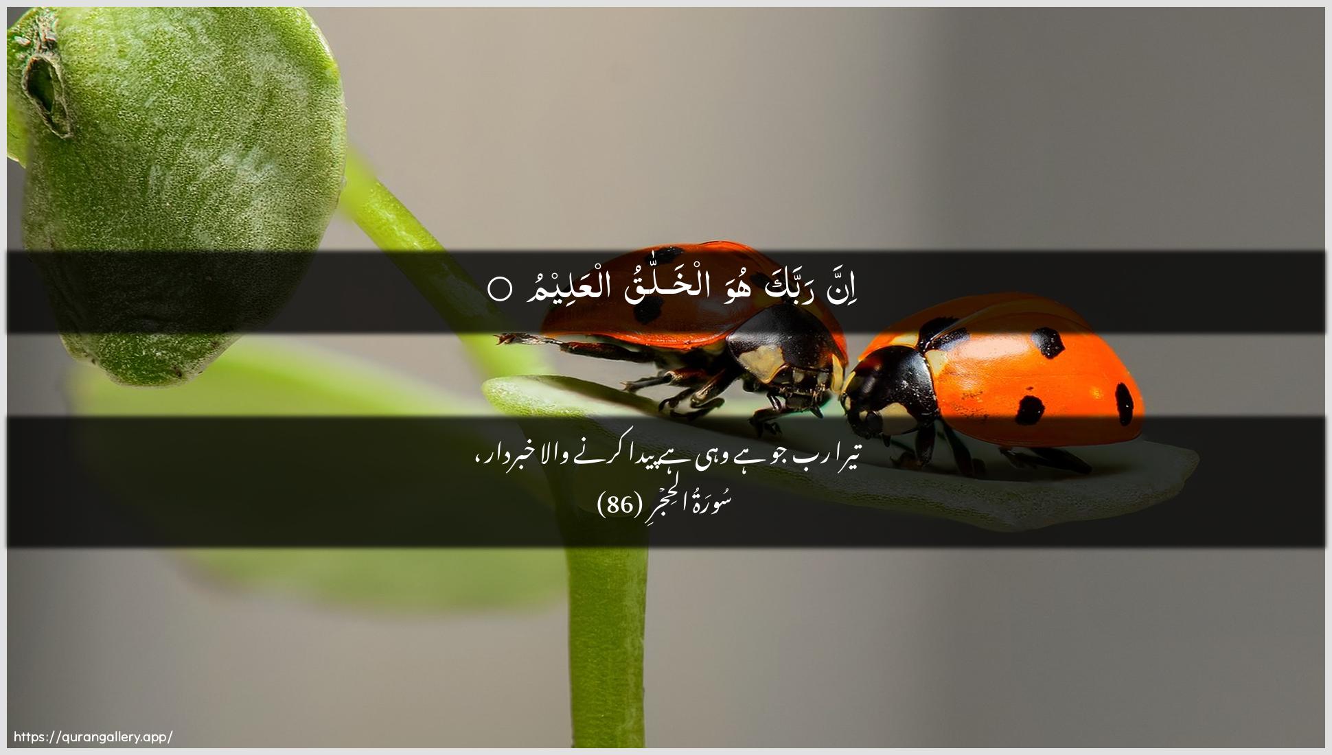 Surah Al-Hijr Ayah 86 of 15 HD Wallpaper: Download Beautiful horizontal Quran Verse Image | Inna rabbaka huwa alkhallaqualAAaleem