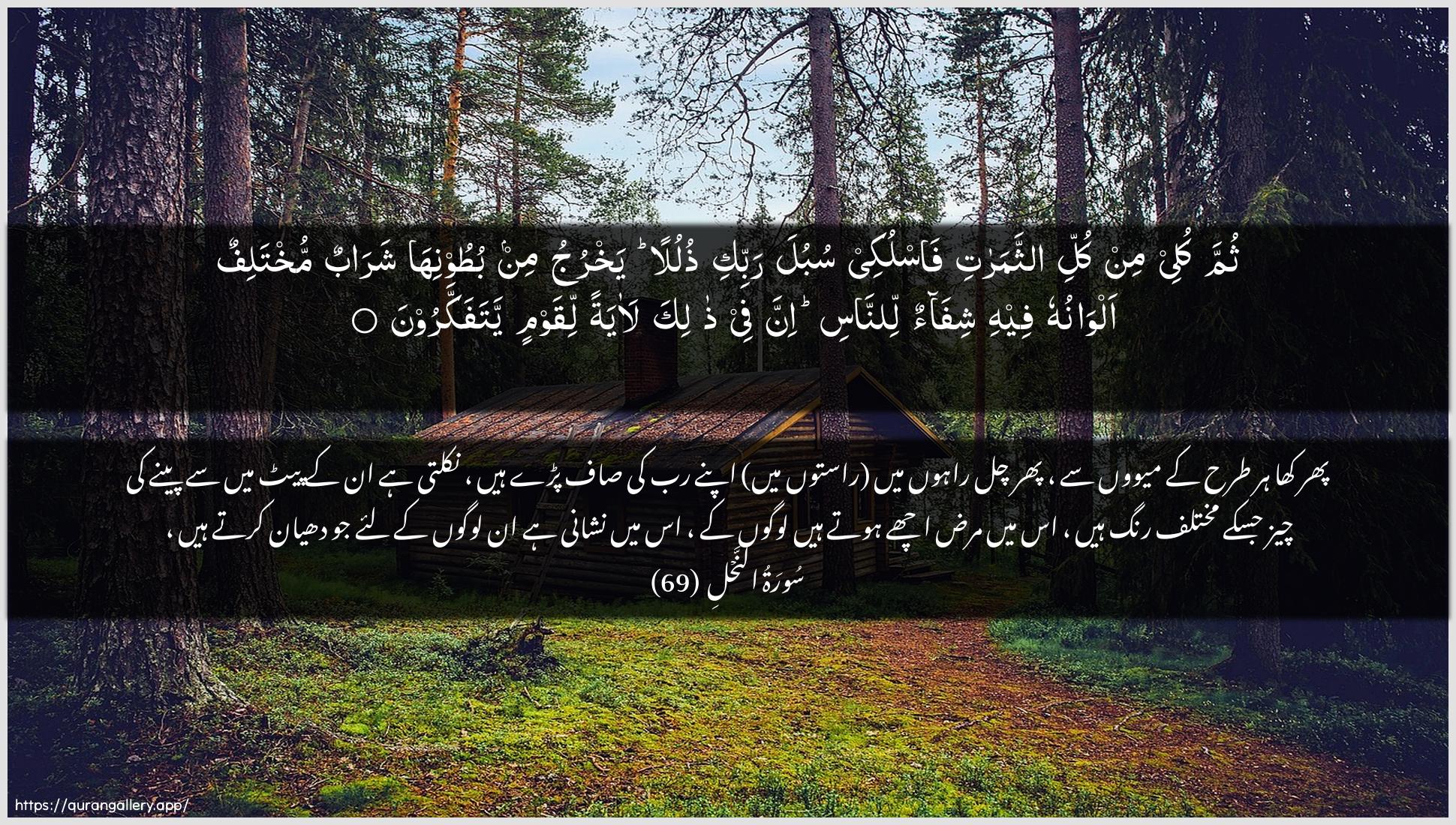 Surah An-Nahl Ayah 69 of 16 HD Wallpaper: Download Beautiful horizontal Quran Verse Image | Thumma kulee min kulli aththamaratifaslukee subula rabbiki thululan yakhruju min butoonihasharabun mukhtalifun alwanuhu feehi shifaonlinnasi inna fee thalika laayatanliqawmin yatafakkaroon