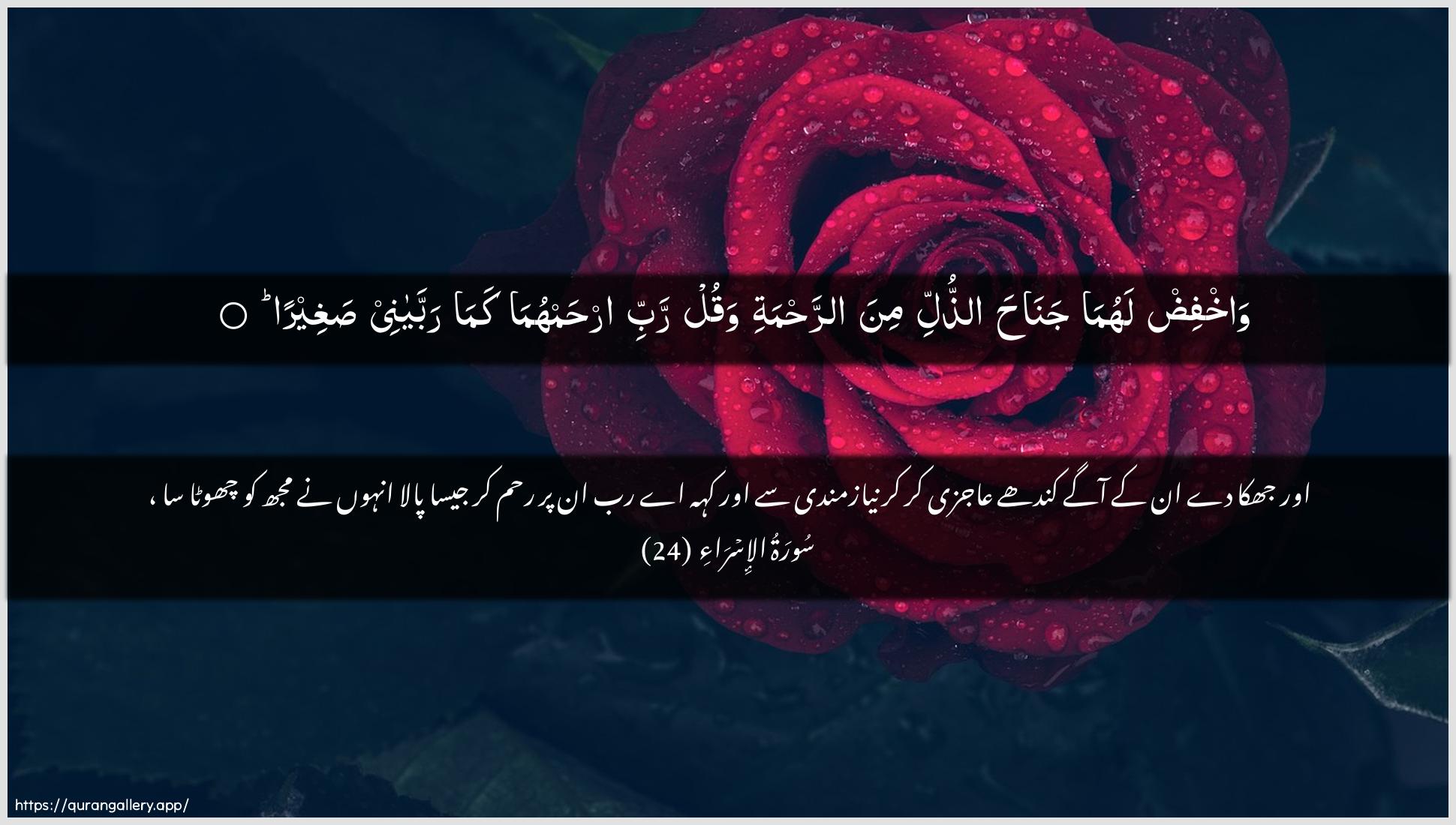 Surah Al-Israa Ayah 24 of 17 HD Wallpaper: Download Beautiful horizontal Quran Verse Image | Wakhfid lahuma janahaaththulli mina arrahmati waqulrabbi irhamhuma kama rabbayanee sagheera