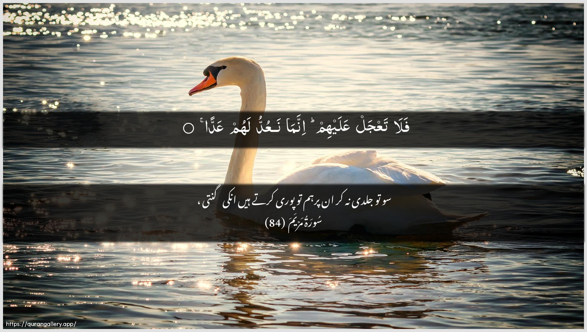 Surah Maryam Ayah 84 of 19 HD Wallpaper: Download Beautiful horizontal Quran Verse Image | Fala taAAjal AAalayhim innamanaAAuddu lahum AAadda