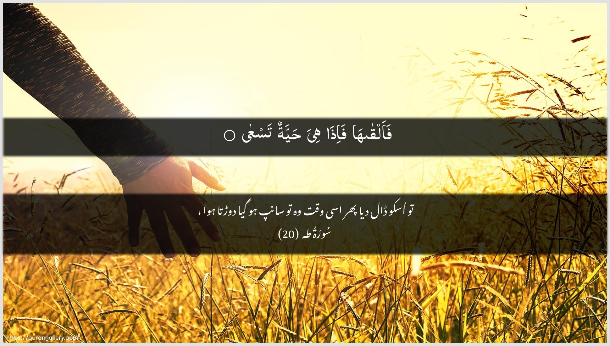 Surah Taa-Haa Ayah 20 of 20 HD Wallpaper: Download Beautiful horizontal Quran Verse Image | Faalqaha fa-itha hiya hayyatuntasAAa