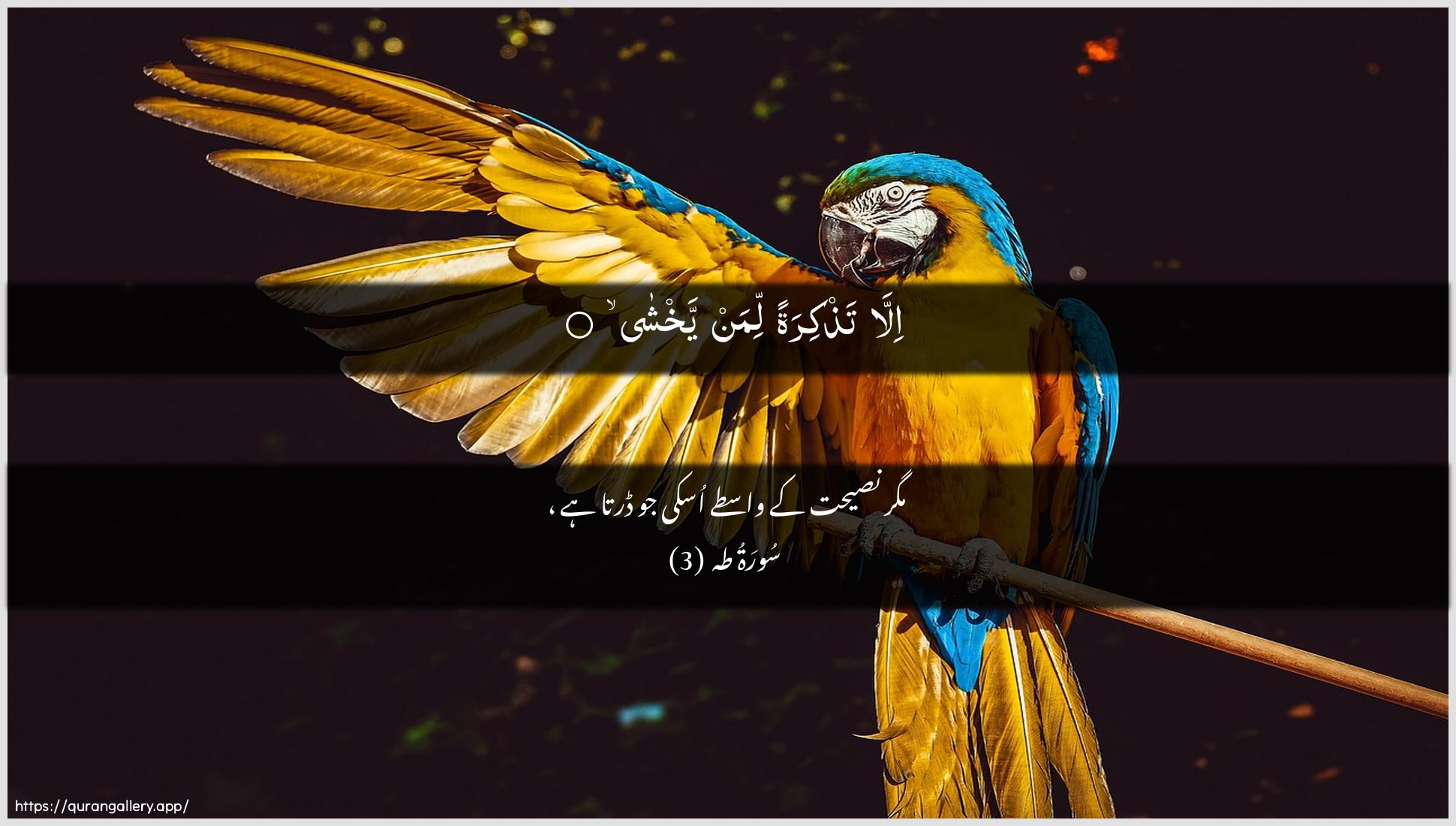 Surah Taa-Haa Ayah 3 of 20 HD Wallpaper: Download Beautiful horizontal Quran Verse Image | Illa tathkiratan liman yakhsha