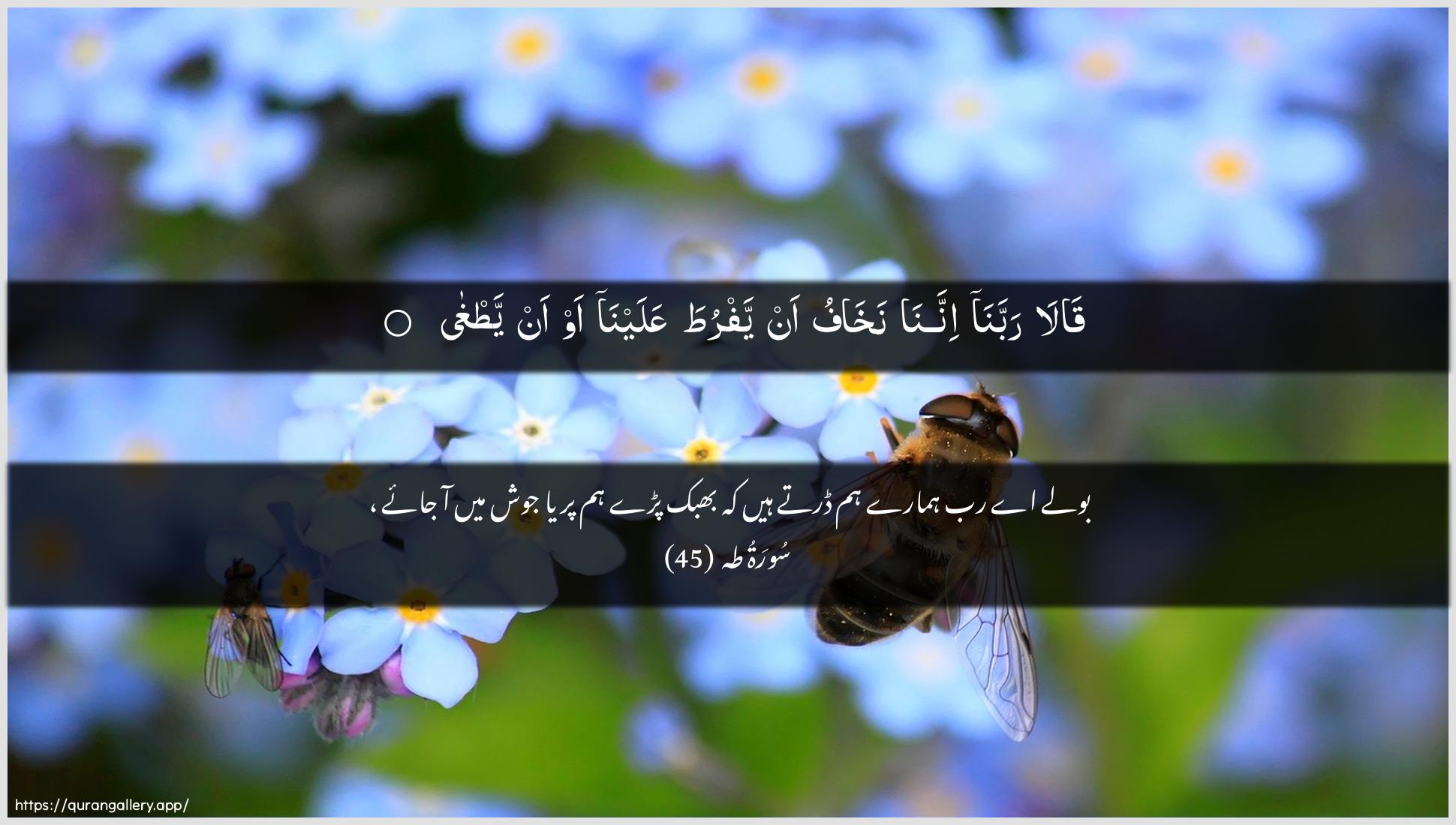 Surah Taa-Haa Ayah 45 of 20 HD Wallpaper: Download Beautiful horizontal Quran Verse Image | Qala rabbana innananakhafu an yafruta AAalayna aw an yatgha