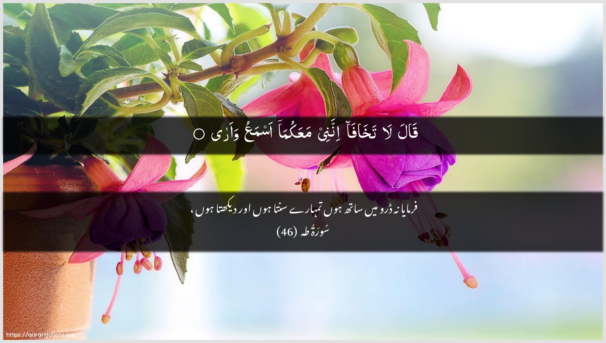 Surah Taa-Haa Ayah 46 of 20 HD Wallpaper: Download Beautiful horizontal Quran Verse Image | Qala la takhafainnanee maAAakuma asmaAAu waara