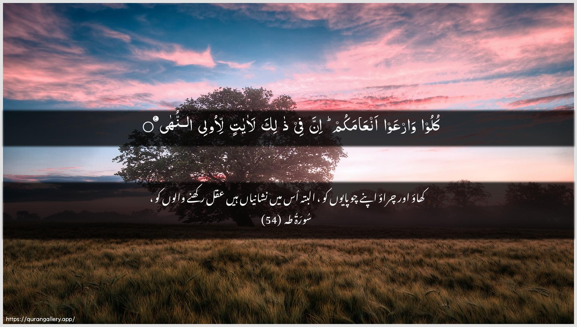 Surah Taa-Haa Ayah 54 of 20 HD Wallpaper: Download Beautiful horizontal Quran Verse Image | Kuloo warAAaw anAAamakum innafee thalika laayatin li-olee annuha