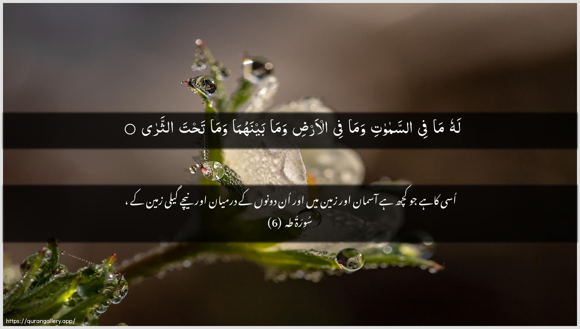 Surah Taa-Haa Ayah 6 of 20 HD Wallpaper: Download Beautiful horizontal Quran Verse Image | Lahu ma fee assamawatiwama fee al-ardi wama baynahuma wamatahta aththara