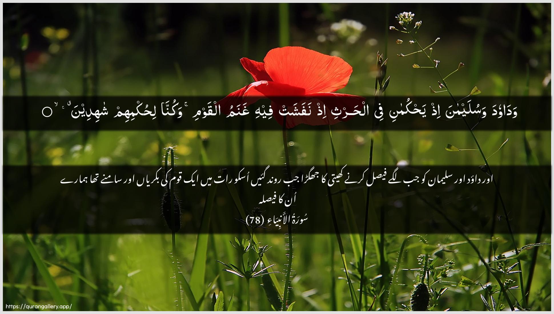 Surah Al-Anbiyaa Ayah 78 of 21 HD Wallpaper: Download Beautiful horizontal Quran Verse Image | Wadawooda wasulaymana ithyahkumani fee alharthi ith nafashatfeehi ghanamu alqawmi wakunna lihukmihim shahideen