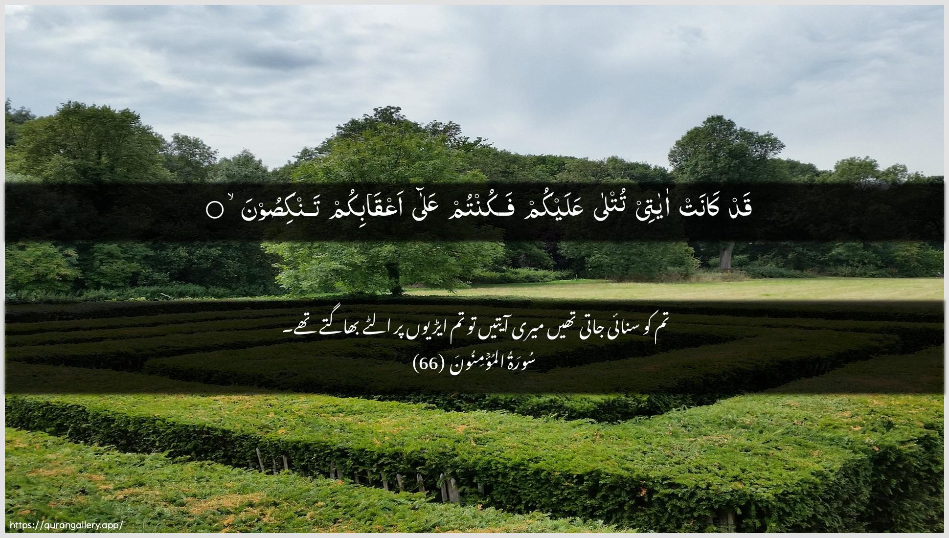 Surah Al-Muminoon Ayah 66 of 23 HD Wallpaper: Download Beautiful horizontal Quran Verse Image | Qad kanat ayatee tutlaAAalaykum fakuntum AAala aAAqabikum tankisoon