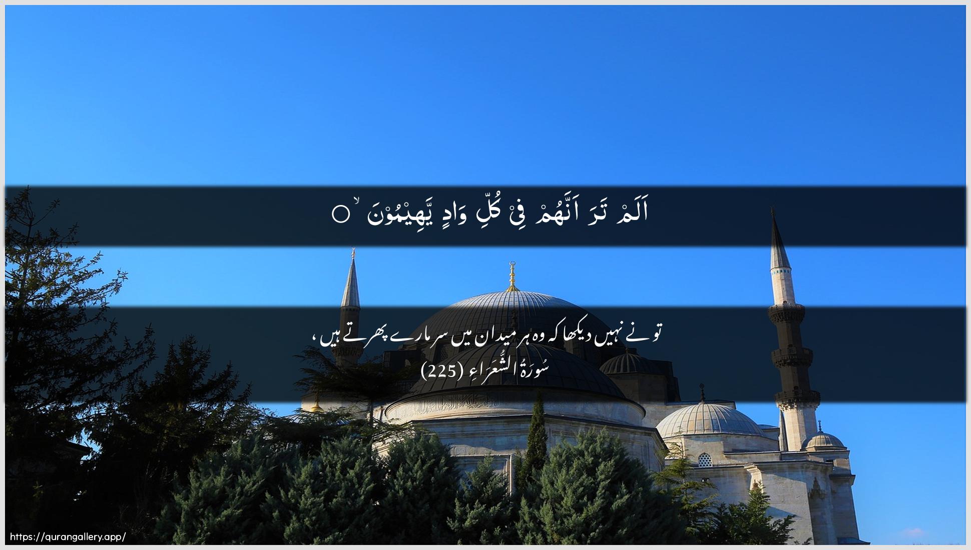 Surah Ash-Shu"araa Ayah 225 of 26 HD Wallpaper: Download Beautiful horizontal Quran Verse Image | Alam tara annahum fee kulli wadinyaheemoon