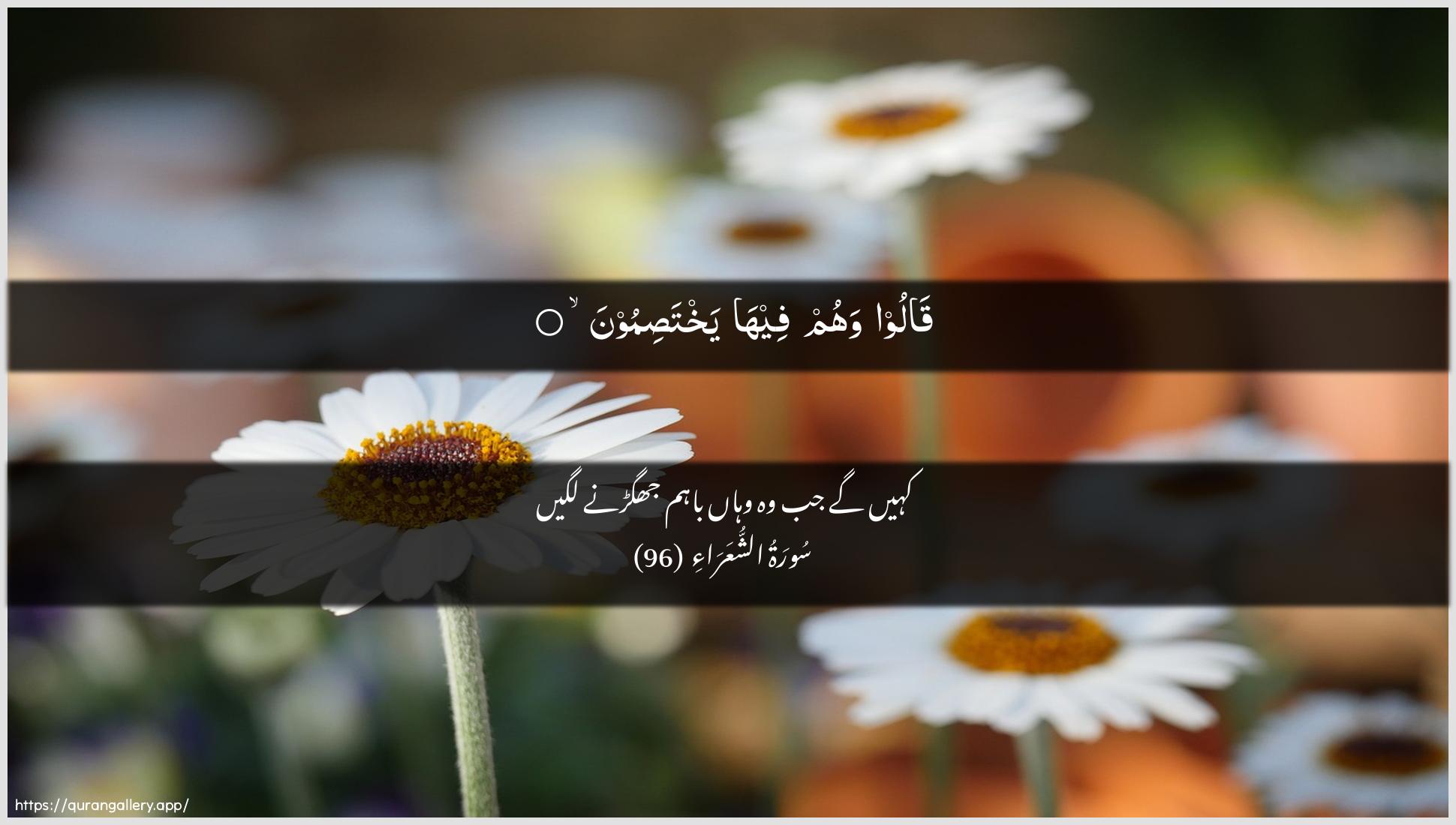 Surah Ash-Shu"araa Ayah 96 of 26 HD Wallpaper: Download Beautiful horizontal Quran Verse Image | Qaloo wahum feeha yakhtasimoon