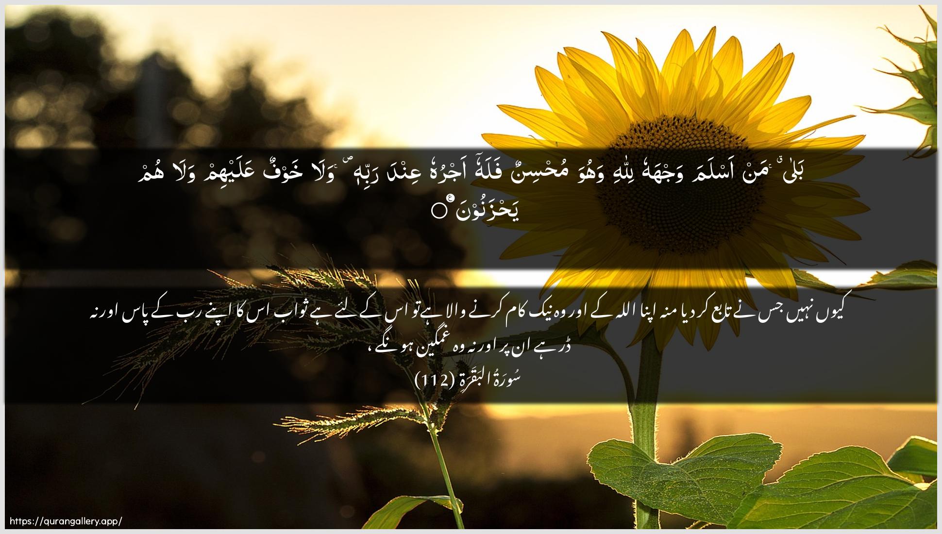 Surah Al-Baqara Ayah 112 of 2 HD Wallpaper: Download Beautiful horizontal Quran Verse Image | Bala man aslama wajhahu lillahiwahuwa muhsinun falahu ajruhu AAinda rabbihi walakhawfun AAalayhim wala hum yahzanoon