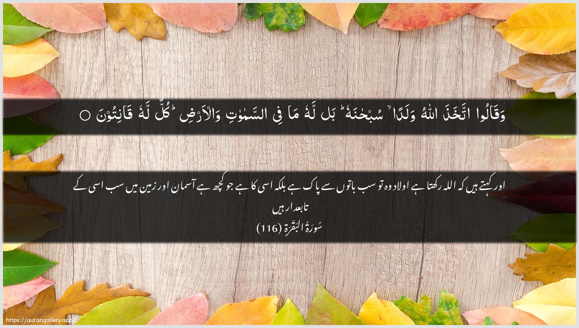 Surah Al-Baqara Ayah 116 of 2 HD Wallpaper: Download Beautiful horizontal Quran Verse Image | Waqaloo itakhatha Allahuwaladan subhanahu bal lahu ma fee assamawatiwal-ardi kullun lahu qanitoon